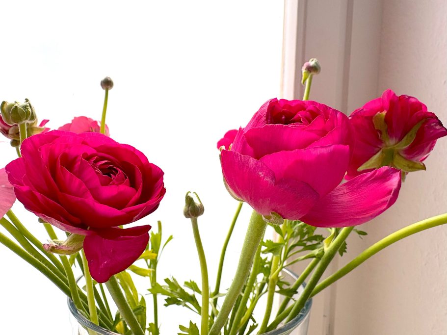 Herzlich Willkommen Blumen